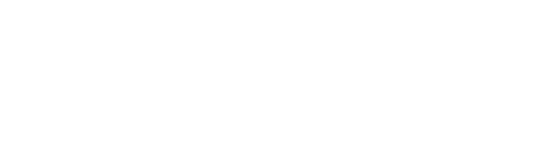 Item 1